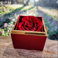 Badass Crown - Daughter Birthday Necklace with Rose Box
